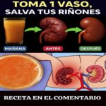 Recupera la Salud de tus Riñones: La Poderosa Bebida que Debes Probar
