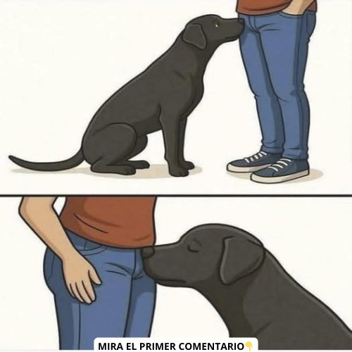 Perro oliendo partes privadas de un humano