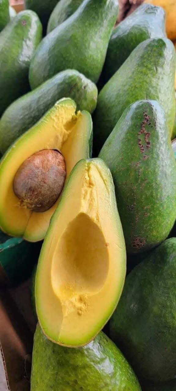 Aguacates frescos en una tienda