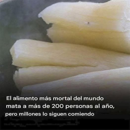Piezas de Yuca