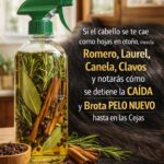Receta Natural para Combatir la Caída del Cabello y Fomentar el Crecimiento