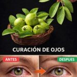 Beneficios de la Guayaba para la Salud Ocular: Remedios Naturales para Tratar Problemas de Visión
