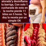 Elimina la Hinchazón Abdominal y Mejora Tu Salud Digestiva con Remedios Naturales