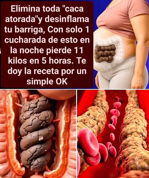 Imagen de sistema digestivo humano