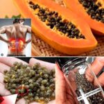 Semillas de Papaya: Un Remedio Natural para la Salud y el Bienestar