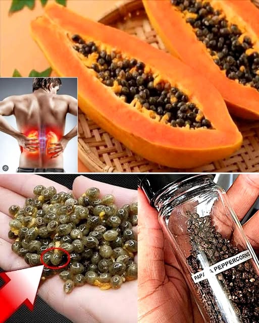 Semillas de Papaya