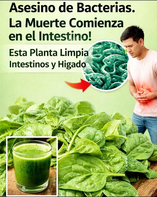 Jugo verde de espinaca y sus beneficios para la salud