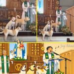 El Poder Sanador de los Perritos: Una Experiencia Comunitaria en la Iglesia