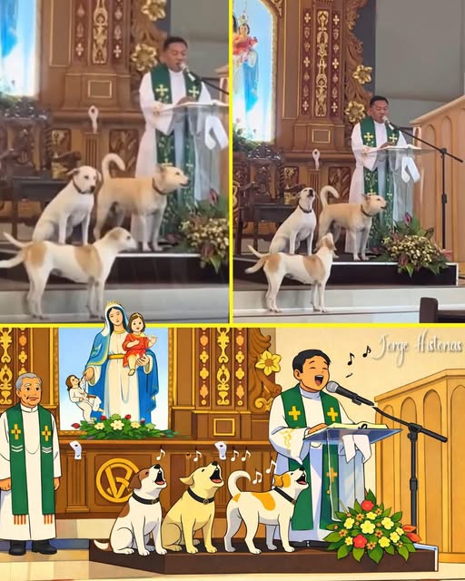 Perritos en la misa junto al padre