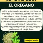 El Poder del Orégano: Beneficios Inesperados para tu Salud