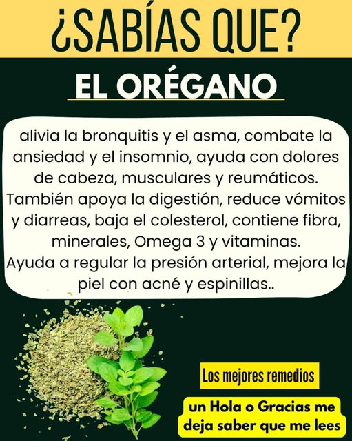 Beneficios del Orégano