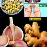 Mezcla de Jengibre, Ajo, Cebolla y Limón: El Remedio Natural para Limpiar tu Cuerpo y Pulmones