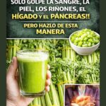 Las Maravillosas Propiedades del Apio: Un Detox Natural para tu Cuerpo