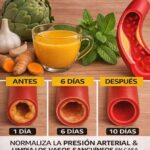 Recetas Saludables: Menta, Alcachofa, Ajo y Cúrcuma para Limpiar las Arterias