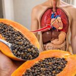 Las Semillas de Papaya: Un Remedio Natural para la Salud Cardíaca