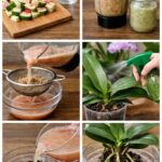Cómo alimentar orquídeas: El método natural y efectivo con cáscaras de sandía