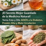 Adiós a la Diabetes: Remedios Naturales que Transforman Vidas