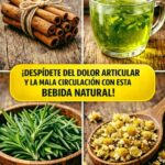 Receta Natural para Aliviar la Artritis y Mejorar la Circulación