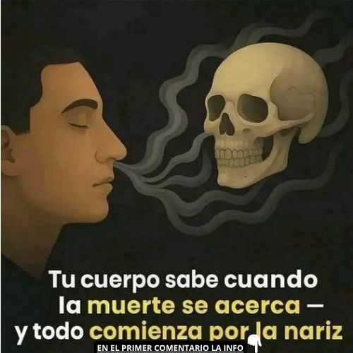 Imagen que simboliza la conexión entre el cuerpo y la muerte