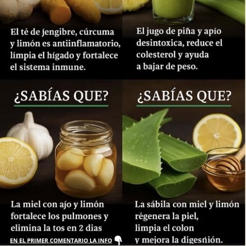 Remedios naturales para el bienestar