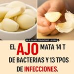 El Ajo: El Antibiótico Natural que Arrasa con las Infecciones