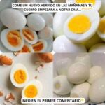 Beneficios de Comer Huevos Hervidos en las Mañanas