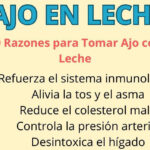 Ajo en Leche: El Remedio Natural que Regenera Cuerpo y Alma