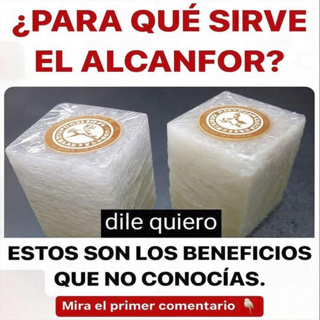 Alcanfor en bloques