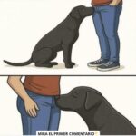 ¿Por Qué Tu Perro Te Huele? Signos a Tener en Cuenta