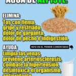 Los Beneficios del Agua de Alpiste: Salud y Bienestar en Un Vaso