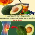 Semilla de Aguacate: El Poder Oculto para Aliviar el Dolor y la Inflamación