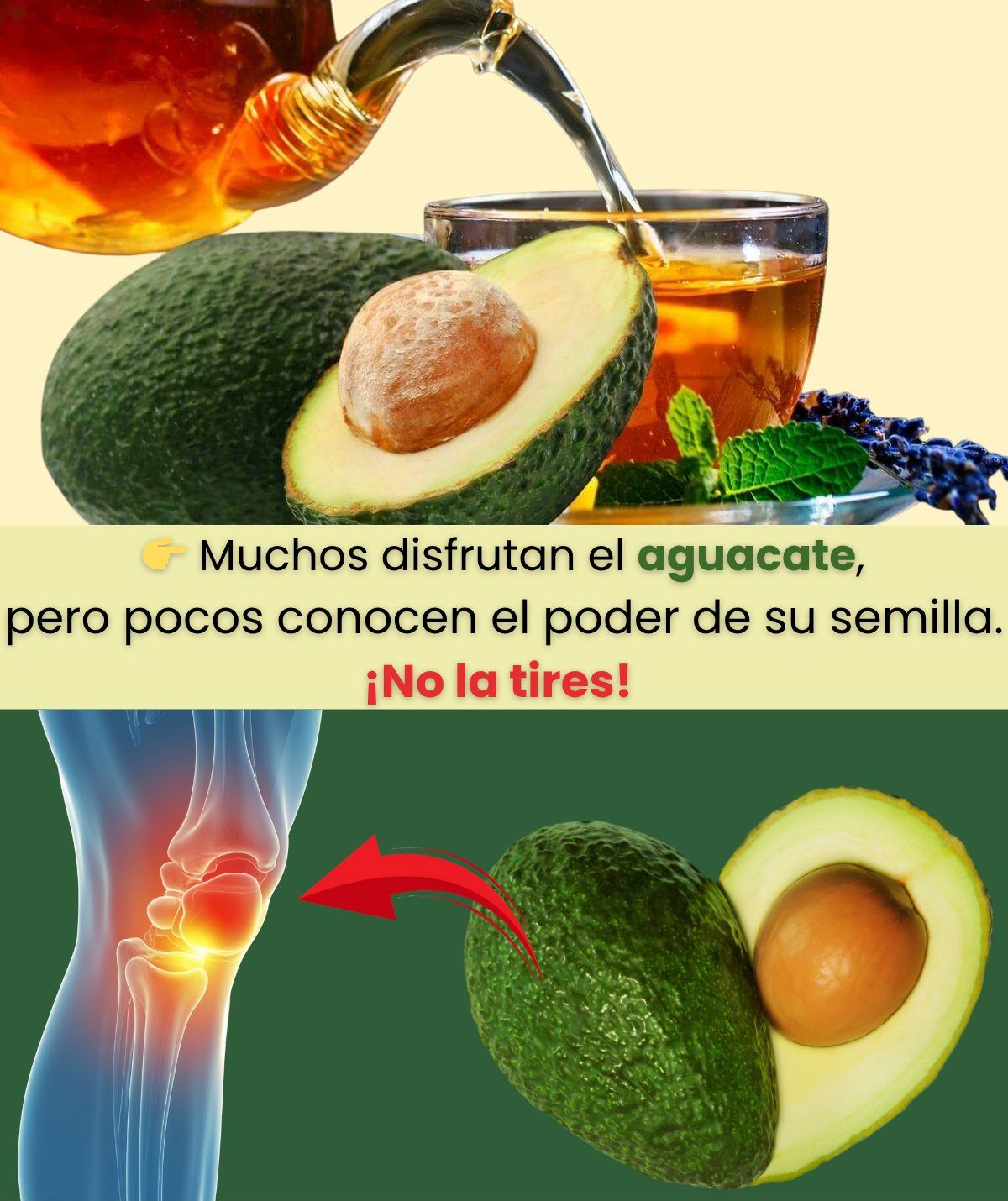 Semilla de Aguacate