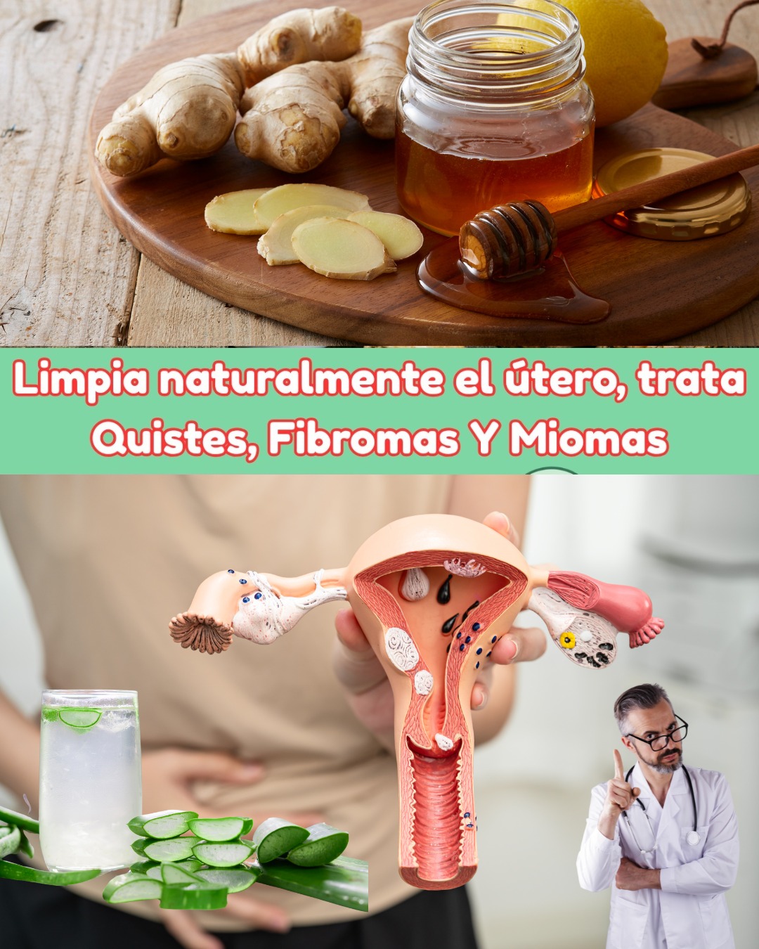 Remedios Naturales para la Salud Uterina
