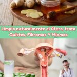 Limpia Naturalmente el Útero: Remedios para Quistes, Fibromas y Miomas