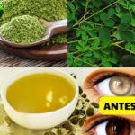 El Poder Oculto de la Moringa: La Maravilla Sencilla de la Naturaleza