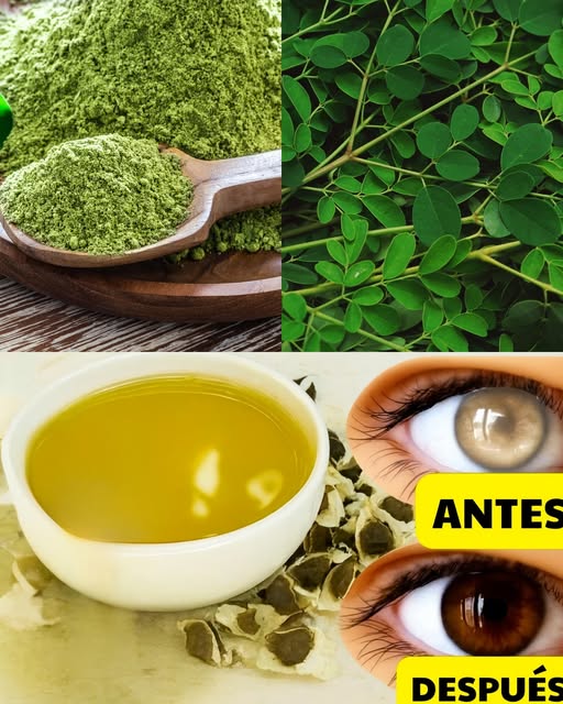 Propiedades de la Moringa