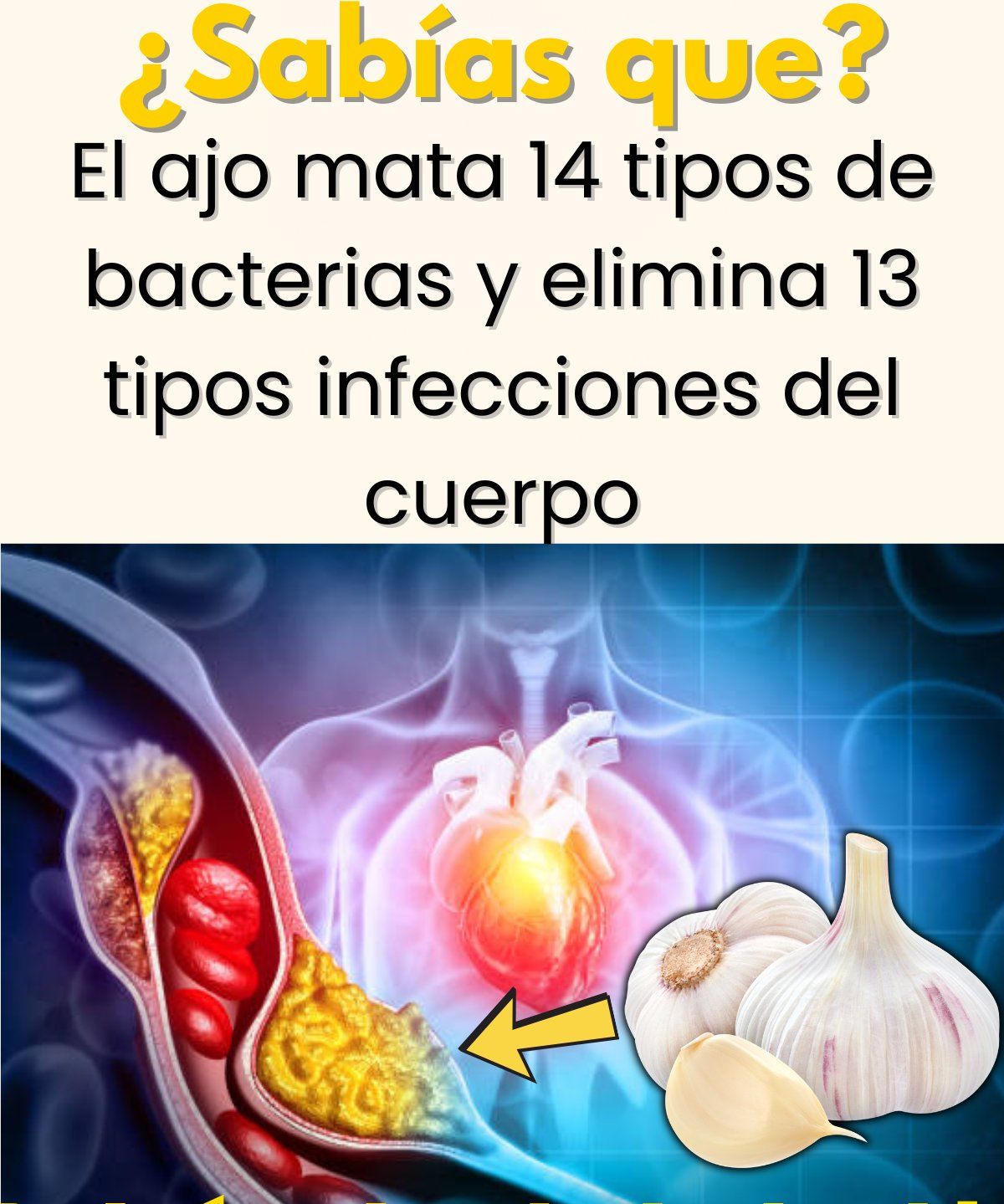 Beneficios del Ajo para la Salud