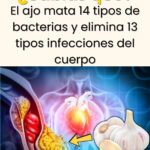 El Ajo: Un Antibiótico Natural para Tu Salud