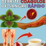 Descubre las Mejores Hierbas que Disuelven Coágulos de Sangre
