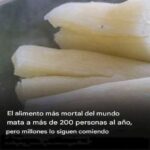 Yuca: El Alimento Peligroso que Debes Conocer