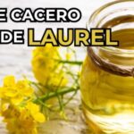 Descubre el Poder del Aceite Casero de Laurel: Alivio Natural para el Dolor